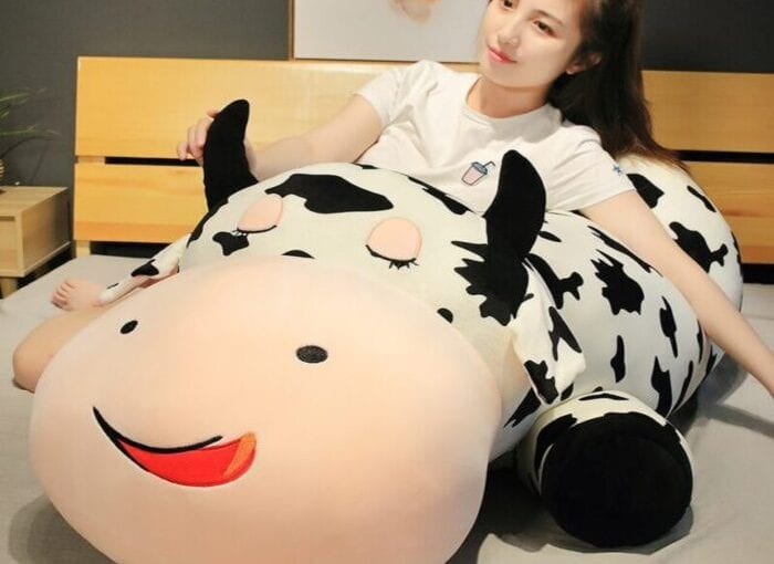 Who knew plushies cows could be so beneficial?